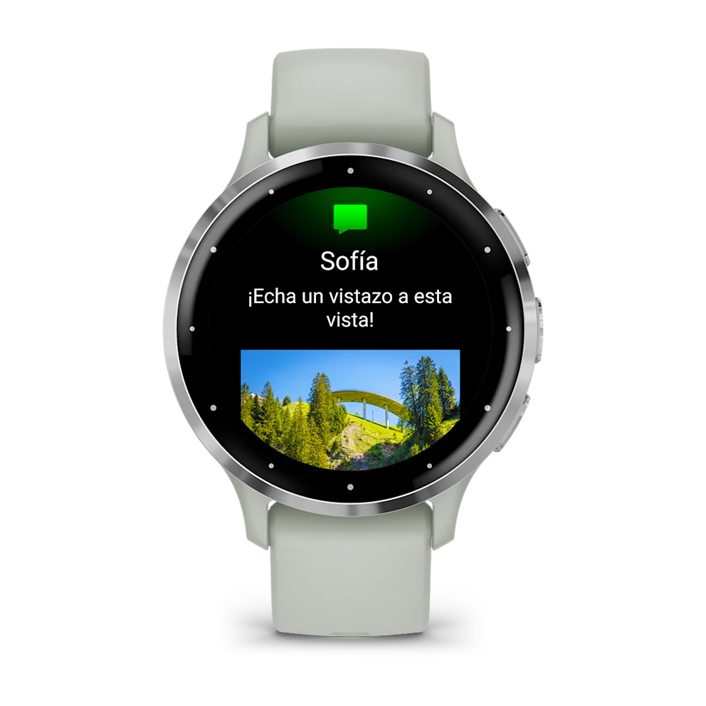 Garmin Venu 3S 41mm Plateado/Gris Salvia