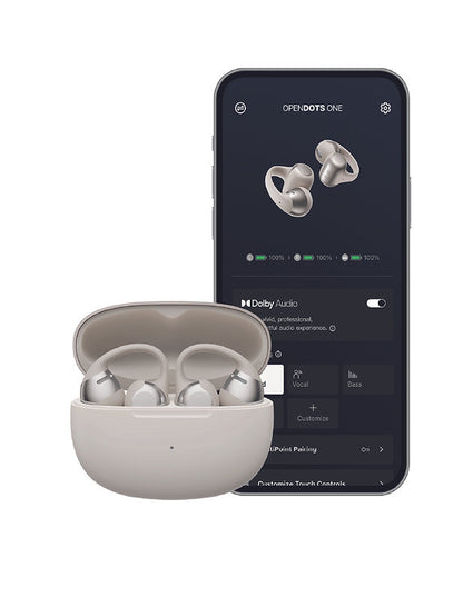 Shokz OpenDots One Gris