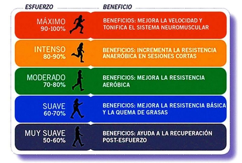 Entrenamiento en base a Ritmo Cardiaco