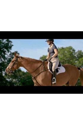 Garmin Blaze Sistema de Bienestar Equino